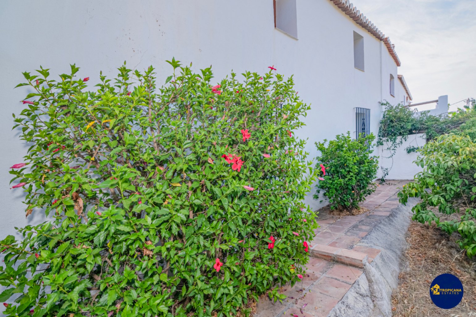 Cortijo en venta en Gelibra Almuñecar 