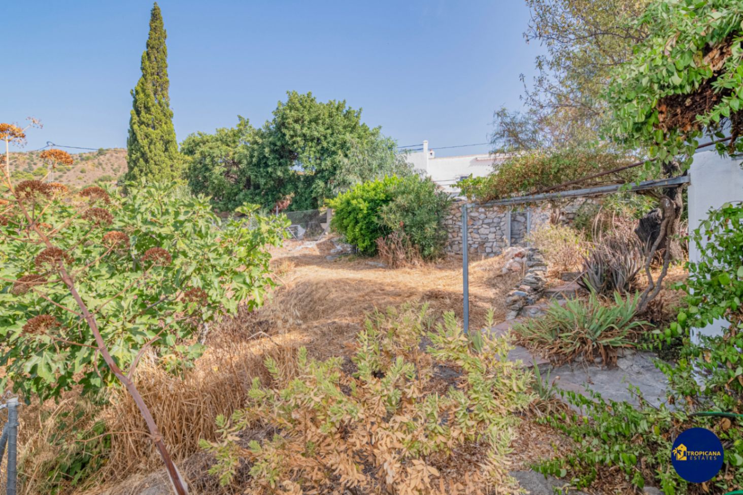 Cortijo en venta en Gelibra Almuñecar 