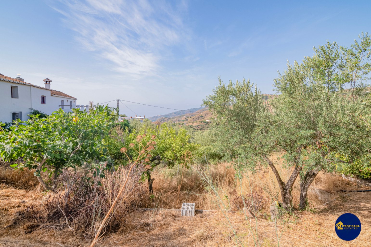 Cortijo en venta en Gelibra Almuñecar 