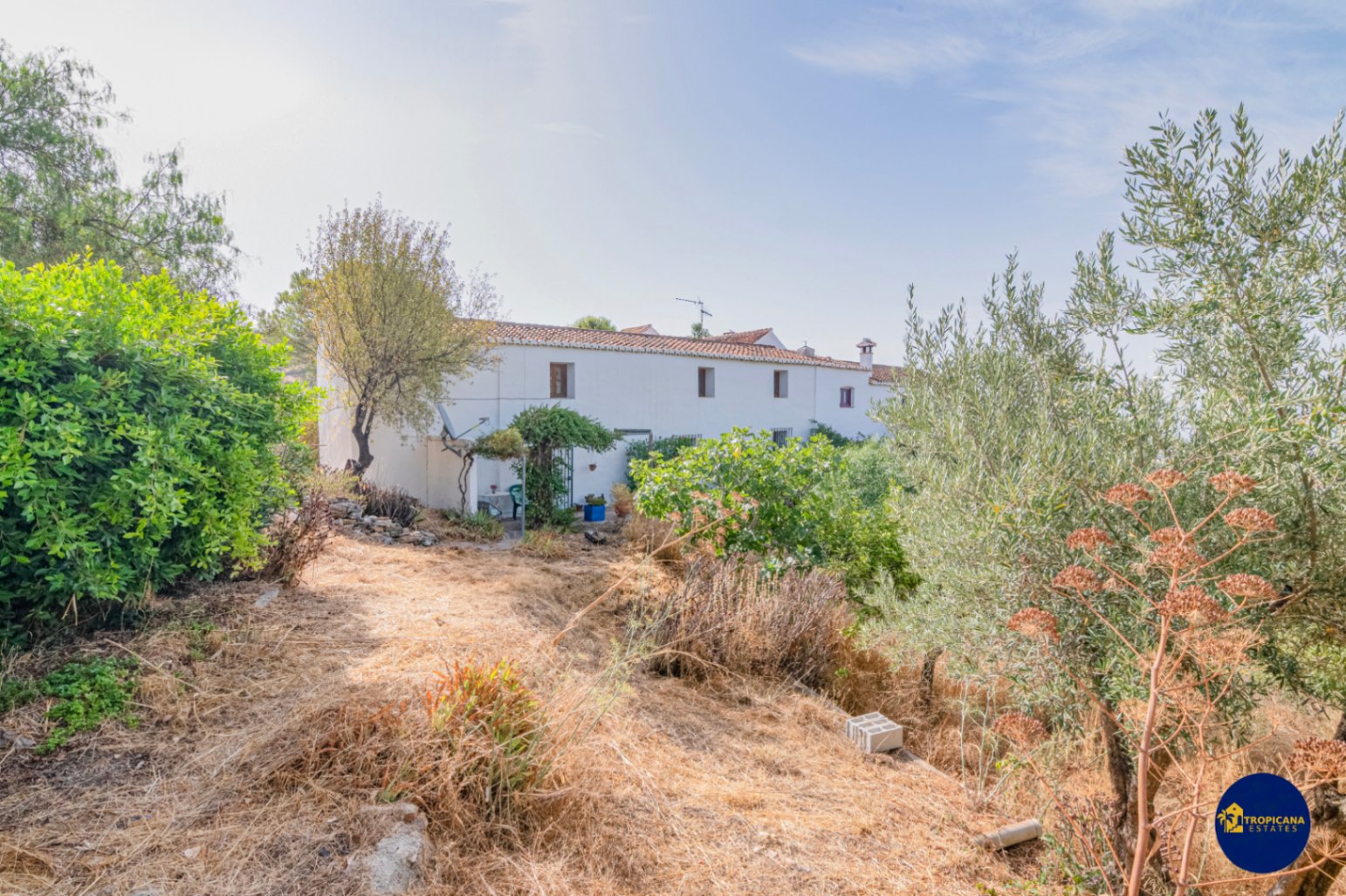 Cortijo en venta en Gelibra Almuñecar 