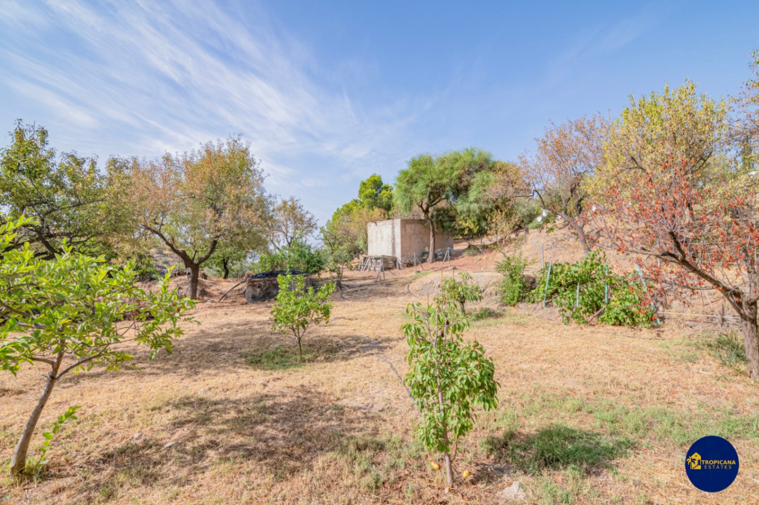 Cortijo en venta en Gelibra Almuñecar 