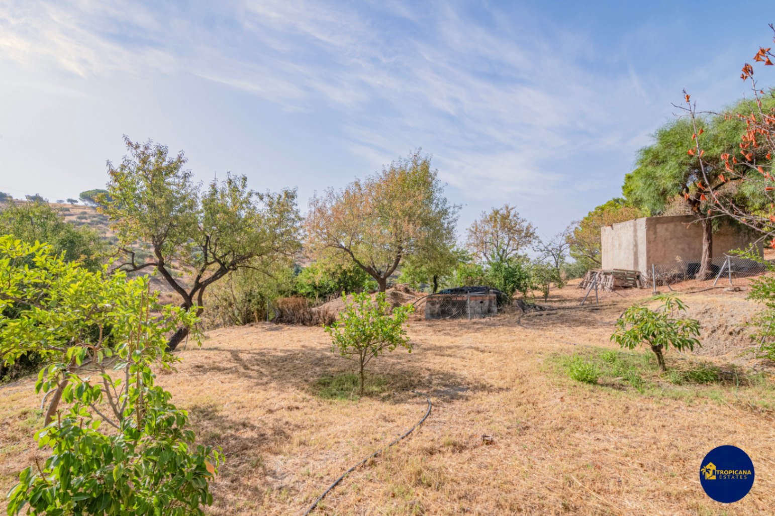 Cortijo en venta en Gelibra Almuñecar 
