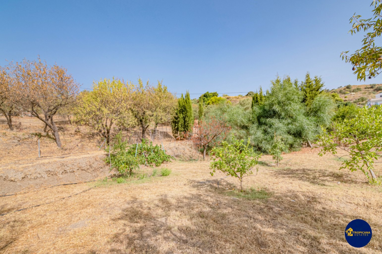 Cortijo en venta en Gelibra Almuñecar 