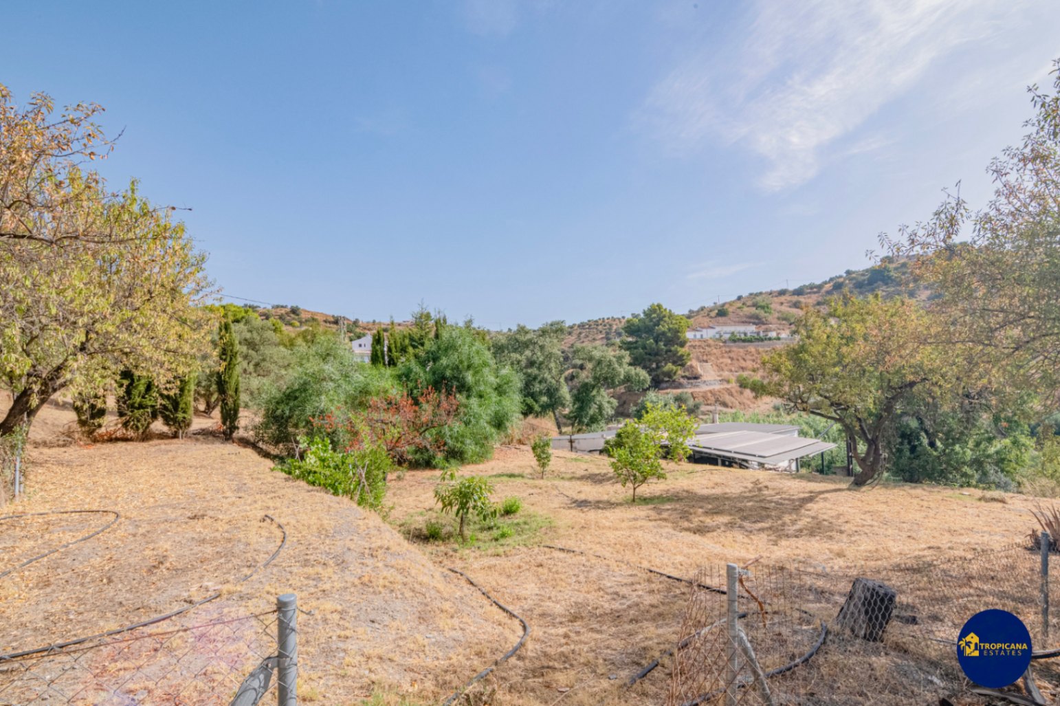 Cortijo en venta en Gelibra Almuñecar 