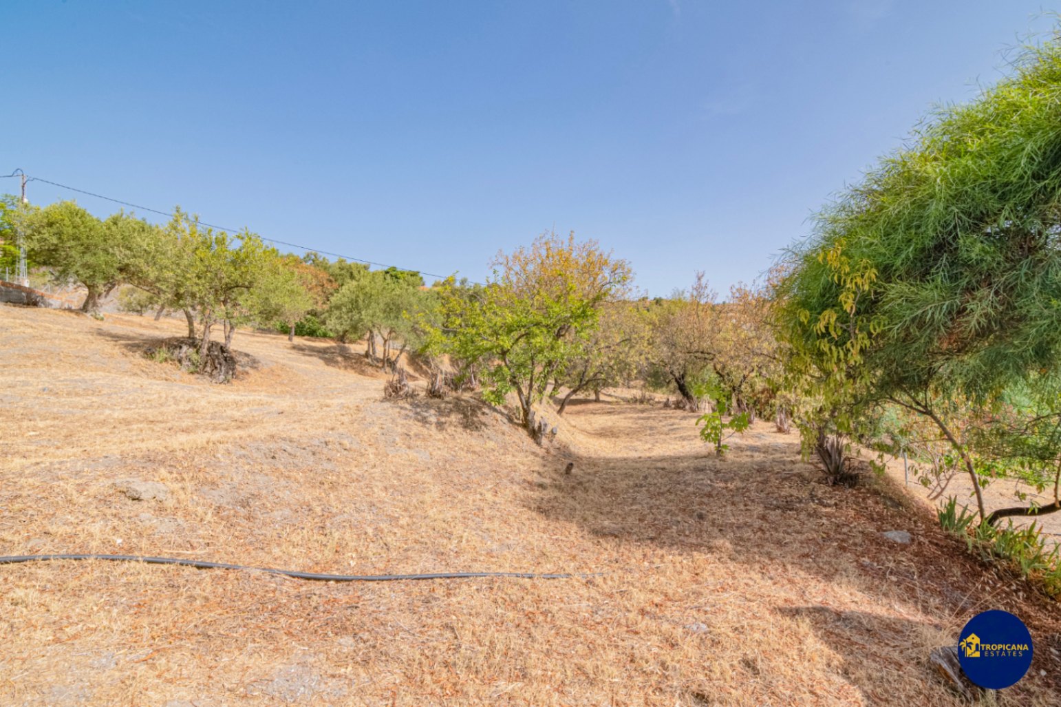 Cortijo en venta en Gelibra Almuñecar 