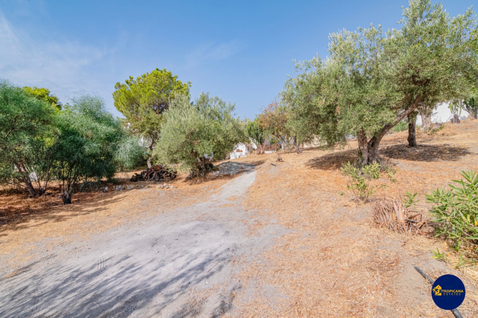 Cortijo en venta en Gelibra Almuñecar 