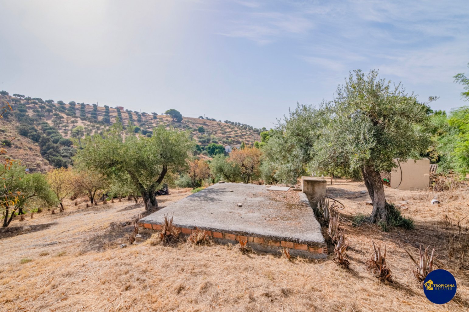 Cortijo en venta en Gelibra Almuñecar 