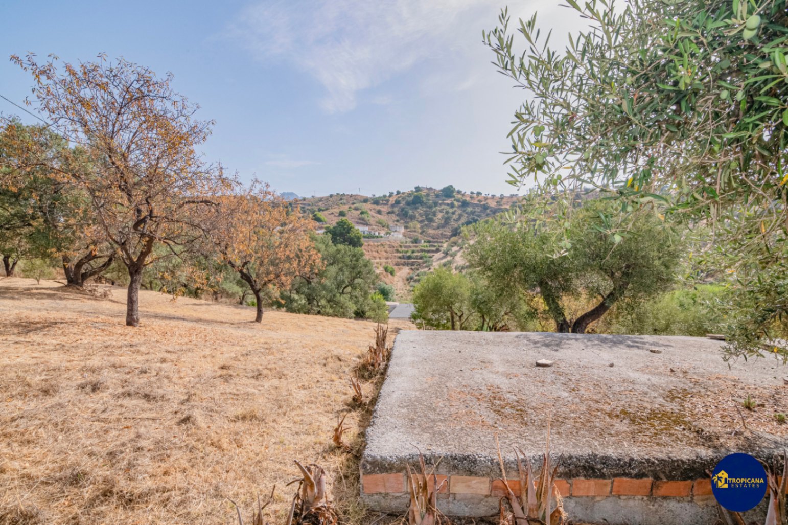 Cortijo en venta en Gelibra Almuñecar 
