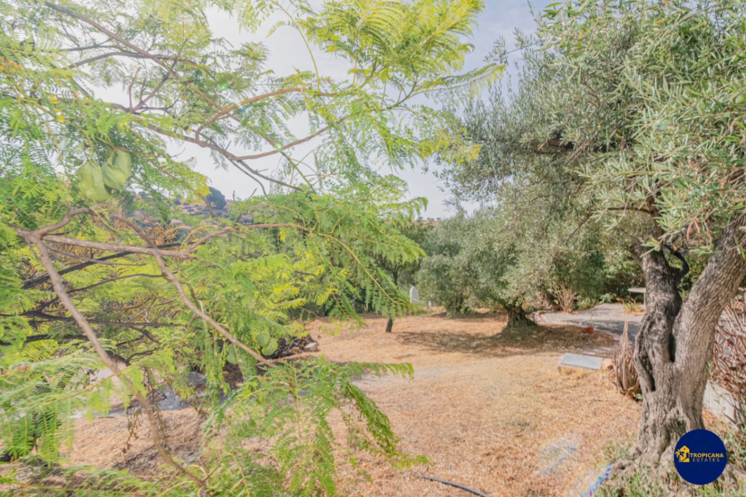 Cortijo en venta en Gelibra Almuñecar 