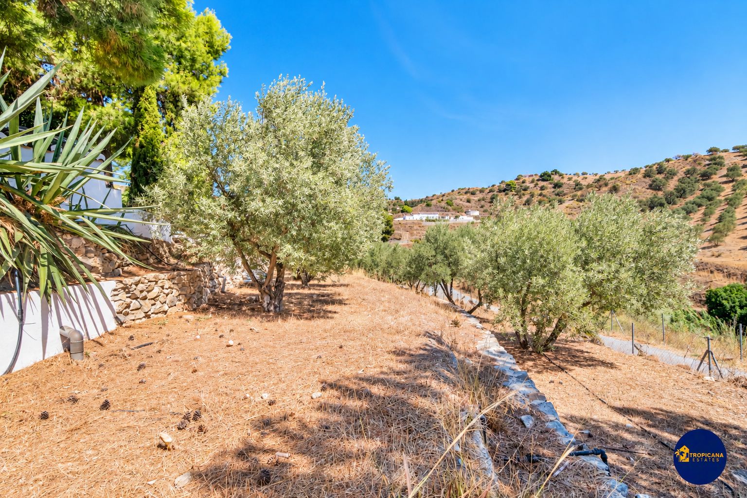 Excepcional Casa en venta, Gelibra, Almuñécar