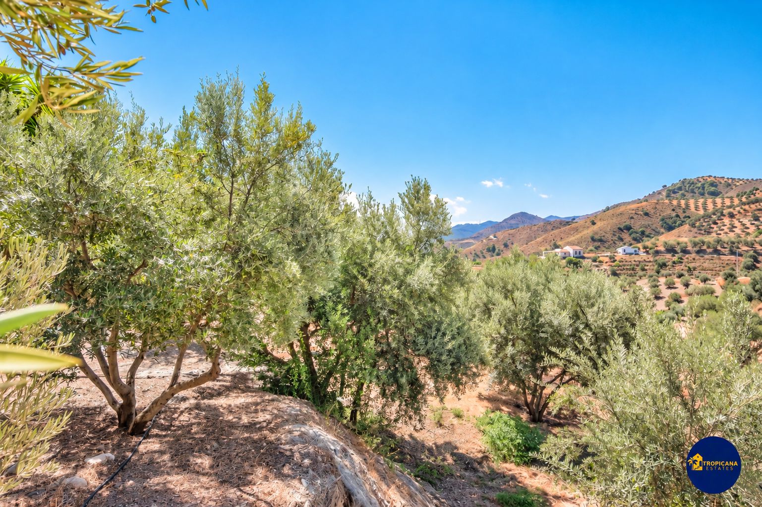 Excepcional Casa en venta, Gelibra, Almuñécar
