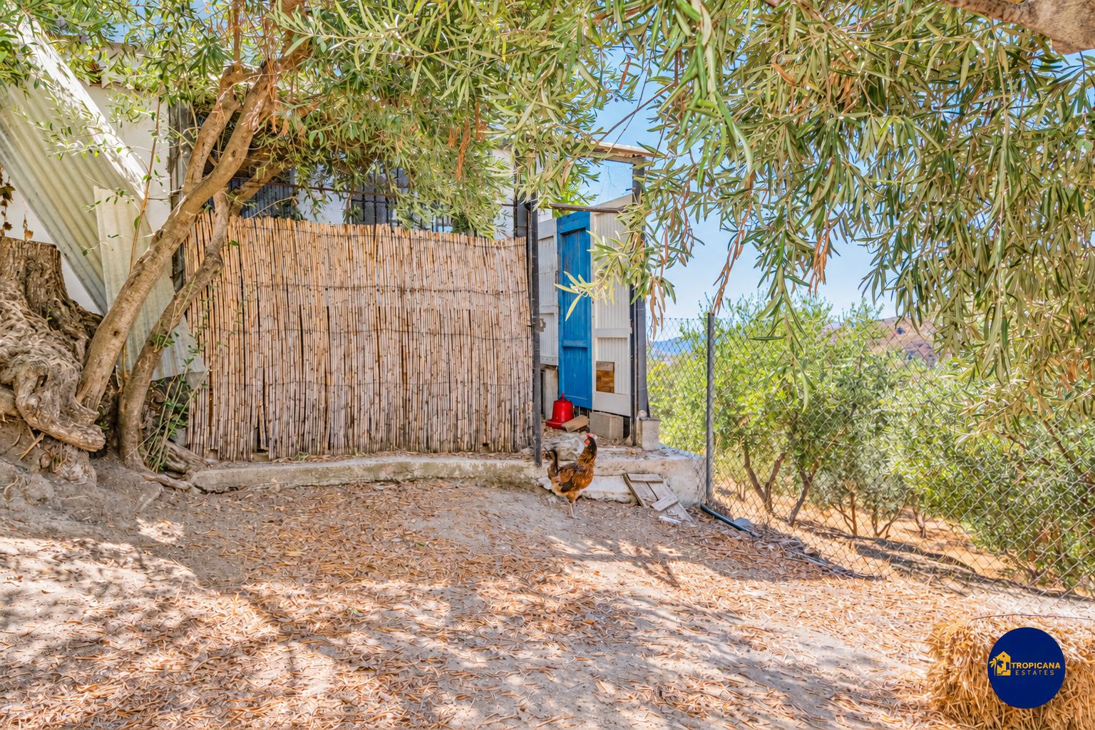 Excepcional Casa en venta, Gelibra, Almuñécar