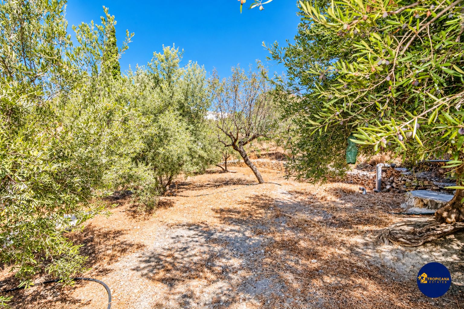 Excepcional Casa en venta, Gelibra, Almuñécar