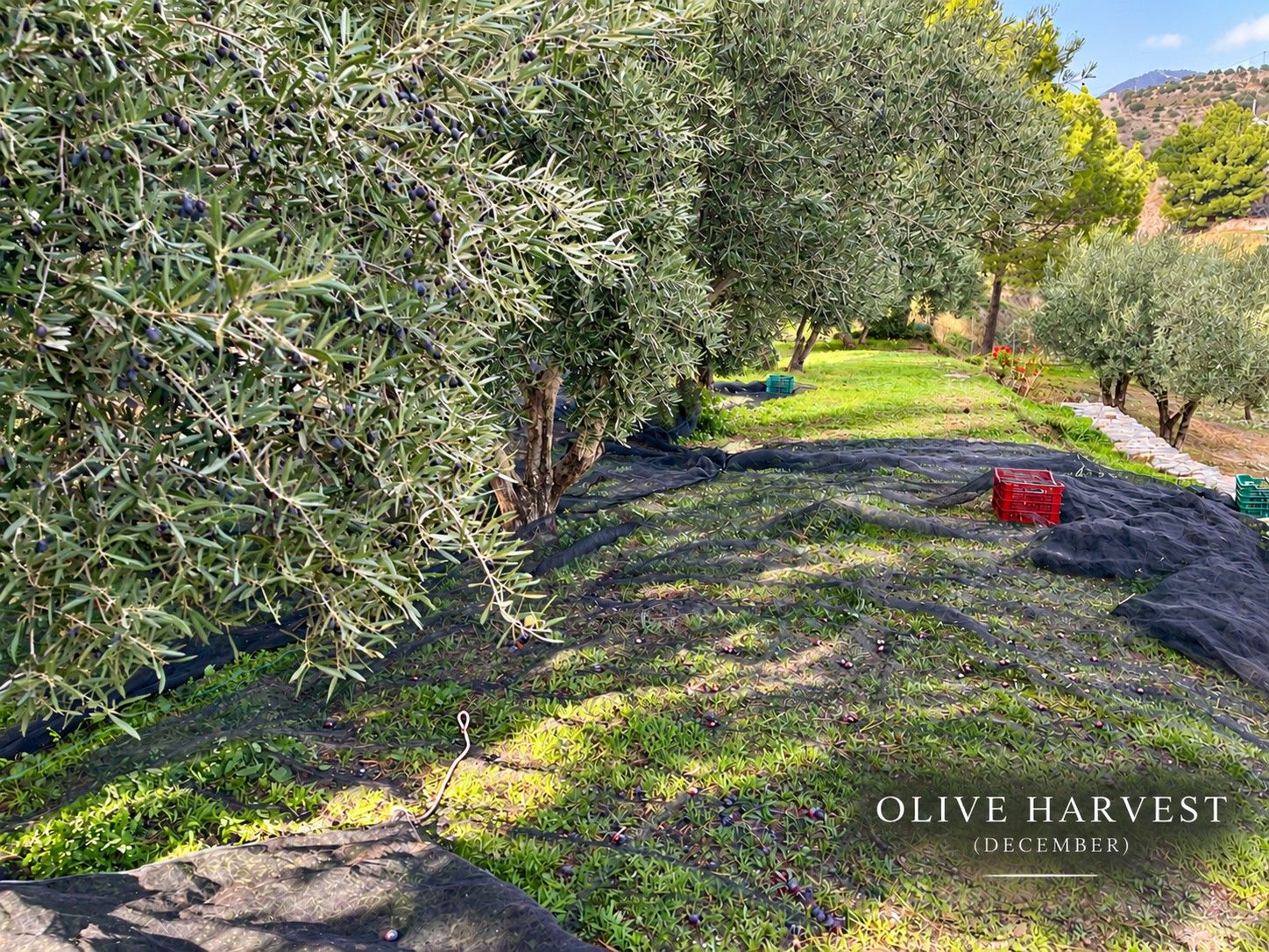 Excepcional Casa en venta, Gelibra, Almuñécar